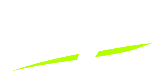 Bingou