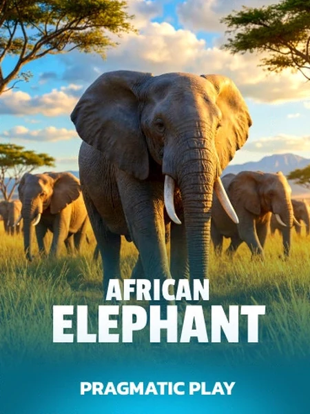 African Elephant