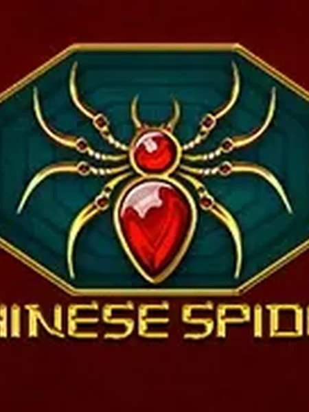 Chinese Spider