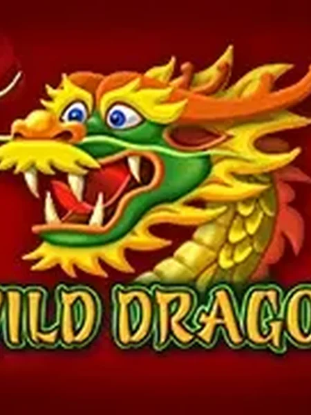 Wild Dragon