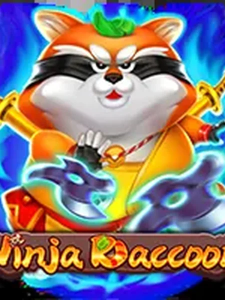 Ninja Raccoon