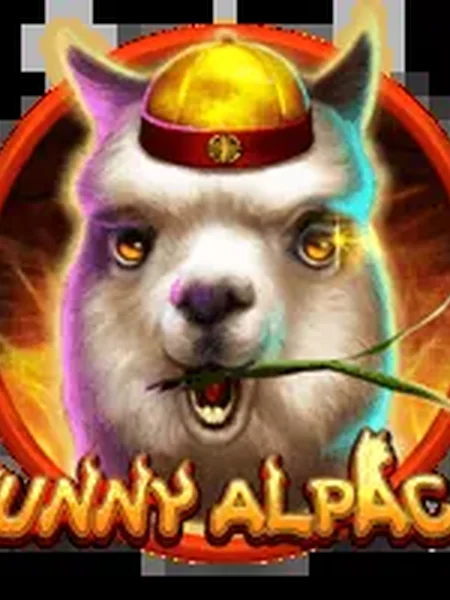 Funny Alpaca