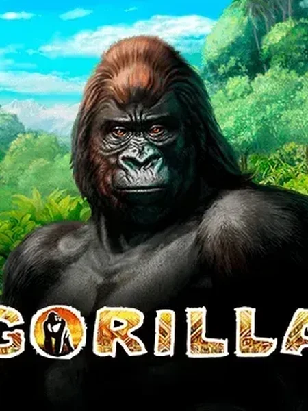 Gorilla