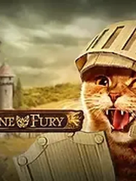Feline Fury