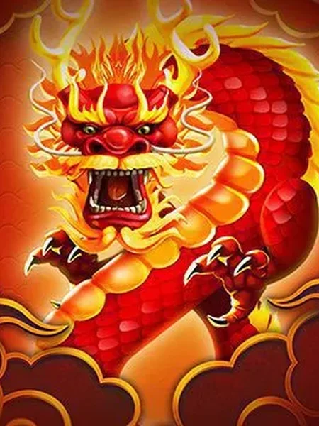 Dragon 8s 25x