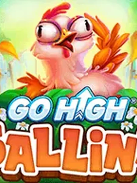 Go High Gallina